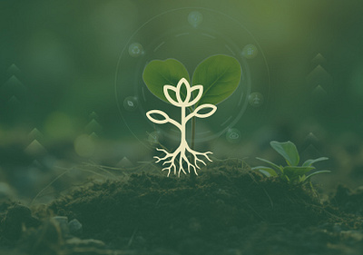 LOGO DESIGN - ROOT AND BLOOM GARDENS branding custom design graphic design graphics green illustration life logo logodesign nature ui ux vector