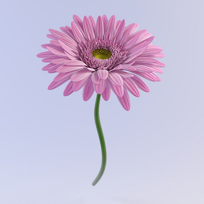 3D Designing For a Flower 3d 3d flower 3d modeing 3d product 3d rendering animation organic forms product visualization visualization