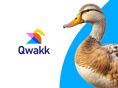 Colorful duck logo design brand identity branding colorful logo duck logo graphic design logo logo design minimal modern natural nature overlap logo swan
