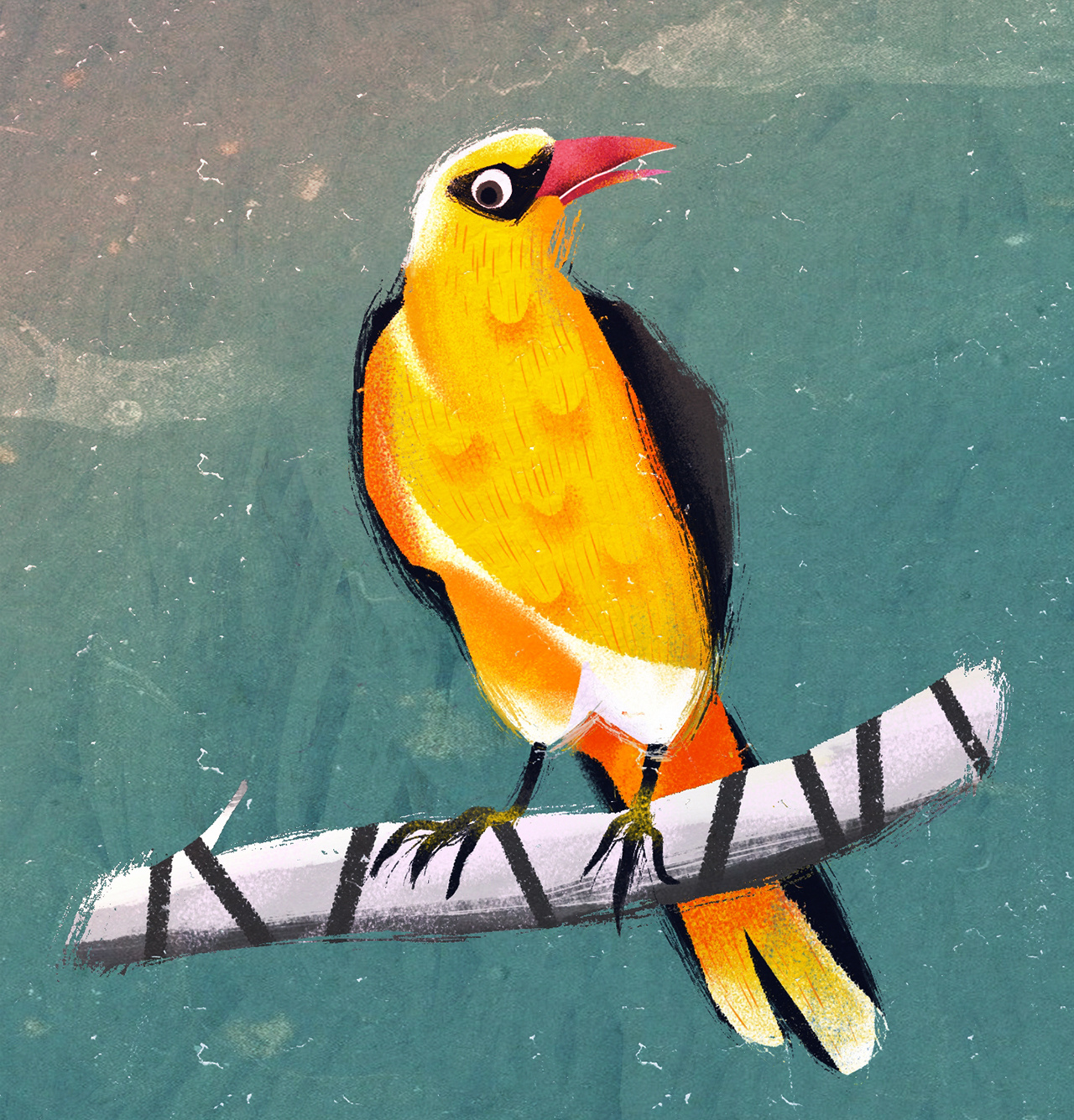 hangbird animal birch bird book illustration cartoon character children book colorful illustration natural nature paper portrait retro sun tree vintage zoo