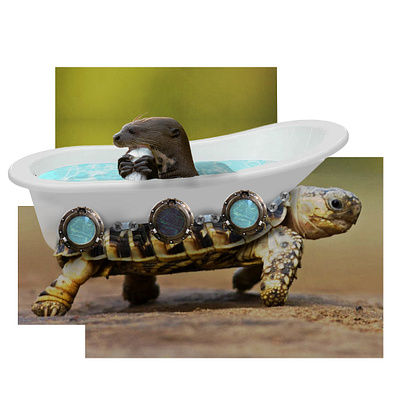 🌙 Anibath Concept — Otter’s Midnight Ride animal digital art digital imaging graphic design illustration otter turtle
