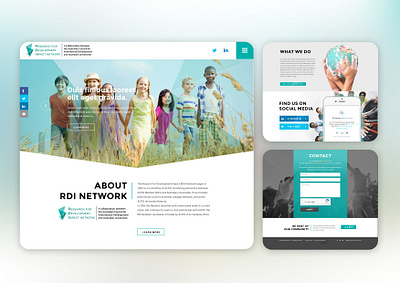 Research Development Impact Network Website australia branding design elegant graphic design layout minimalist modern network rdi ui ux web website