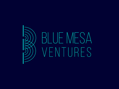 Blue Mesa Ventures Company Logo elegant logo graphic design logo logo design timeless logo design venture branding