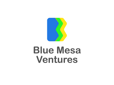 Blue Mesa Ventures minimalistic Logo elegant logo graphic design logo design timeless logo design visual consistency