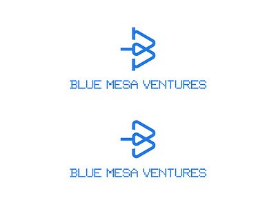 Blue Mesa Ventures Word Logo elegant logo graphic design logo logo design timeless logo design visual branding