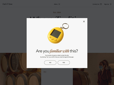 Age Verification Popup ✸ E-Commerce age verification cards design e commerce e commerce design ecom landing page marketplace minimalist mobile modal window online store popup popup ui design product ui ux verification web design whisky