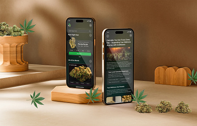 Cannabis Mobile App cannabis cannabisindustry cannabisinnovation cannabismarketing cannabistech cart e commerce growyourbusiness marijuanaapp mobileapp online onlinedispensary order payment seoforcannabis shopping transaction uxdesign weedapp weeddelivery