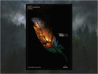Los Angeles Forest Disaster - Poster animation awareness branding burning clean design feather fire forest graphic design logo los angeles minimal motion graphics rain save forest typography ui wild