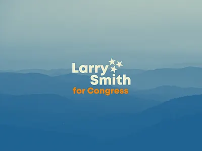 Larry Smith for Congress branding design graphic design logo typography ui web design website