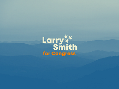 Larry Smith for Congress branding design graphic design logo typography ui web design website