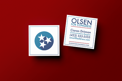 Marty Olsen for Congress branding design graphic design logo vector