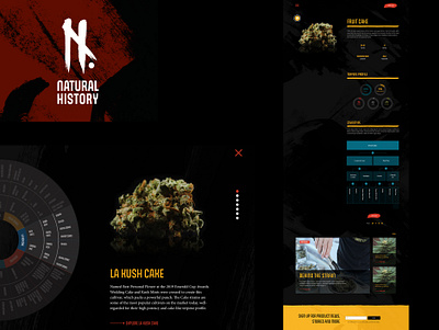 Natural History design ui ux webdesign