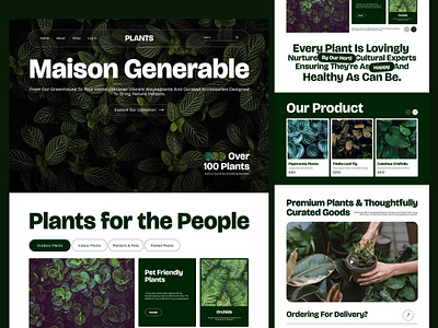 Plant shop landing page animation cart design clean flower shop green grow home page indoor plant layout minimal modern plant plant shop landing page product slider terndy ui ui ux web design
