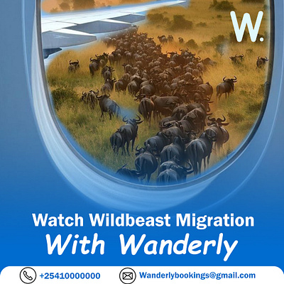 Wanderly Travel and relaxation Company branding graphic design logo