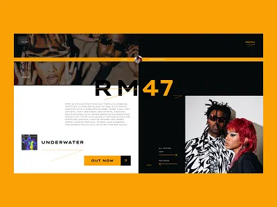 Hero Section - RM47 art directed branding design editorial design graphic design hero section music musician rm47 ui user interface web design