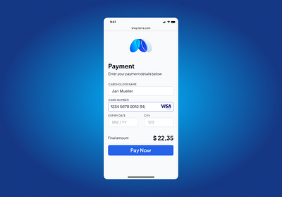 Credit Card Checkout - Daily UI #002 blue card checkout clean dailyui design modern payment professional ui