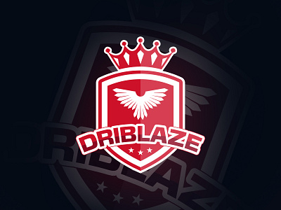 Football Logo agency logo badge logo branding creative logo cresto logo design df driblaze emblem logo football logo graphic design illustration logo logo design logo designer modern logo sports logo team logo vector