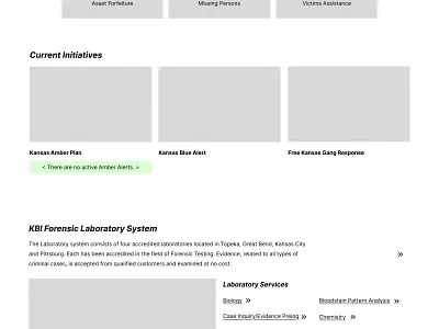 Speculative design for State Bureau of Investigation accessibility cards cms component based design consulting design low fidelity responsive user experience wireframe