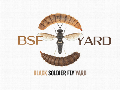 Black Soldier Fly Yard "BSFY" art branding design farming graphic design illustration logo motion graphics typography