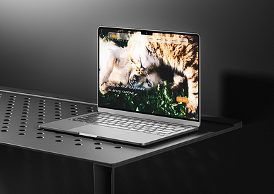 Design Website design figma graphic design ui ux webdesign website
