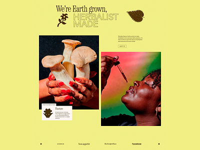 Earth Grown Herbalist Made design graphic design herb herb list herbal product medicine minimalism modern typography mushroom natural medicine nature inspired product product design typography yellow