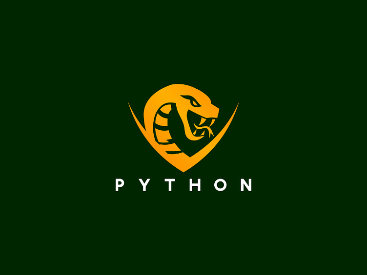 Python Logo by HUSSNAIN GRAPHICS on Dribbble