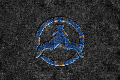 Bull Jeans Fabric Icon button icon jeans