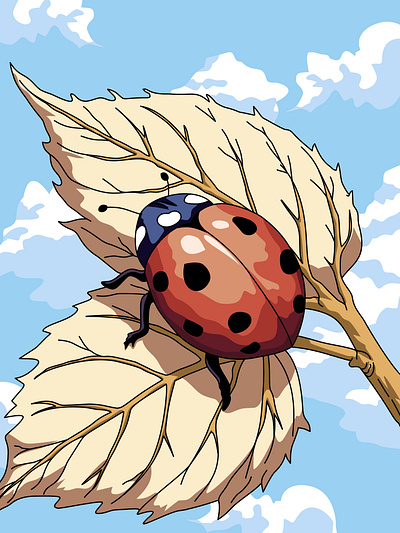 Insect, Ladybug Illustration bug bug illustration bug life colorful illustration flat illustration graphic design illustration insect insect illustration insect life ladybug ladybug illustration modern illustration