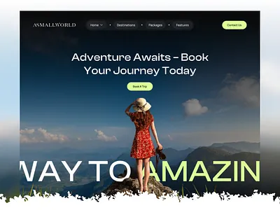 ASMALLWORLD – Full Travel Website Homepage UI experience design