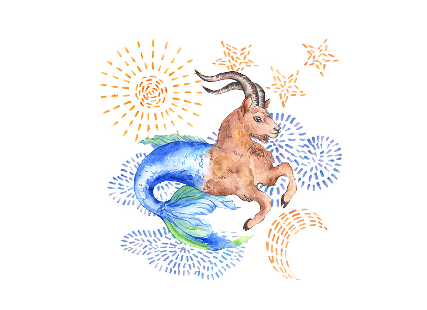 Example of Animal Custom Illustration By Request  