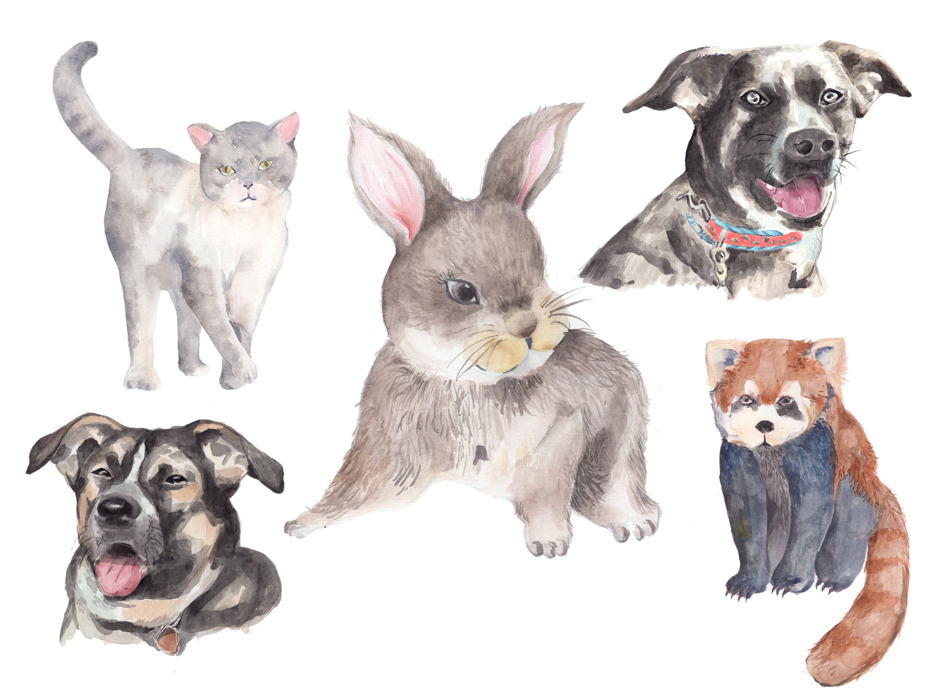 Example of Animal Custom Illustration By Request  
