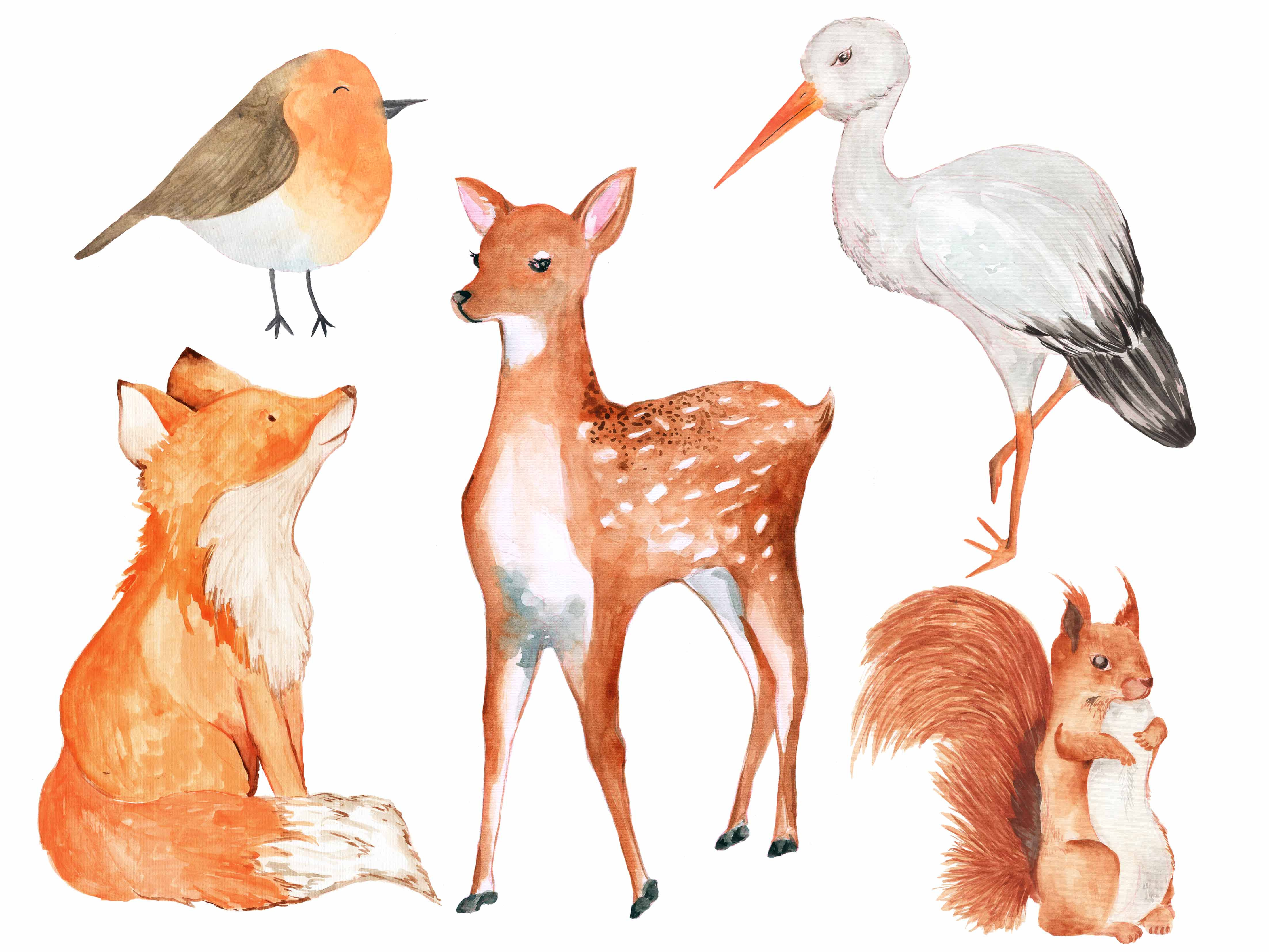 Example of Animal Custom Illustration By Request  