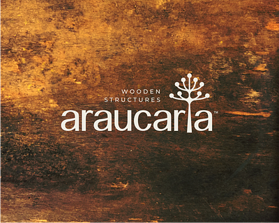 Araucaria araucaria art artsigma brand branding florest icon leaf logo logo design mark tree tree logo wood