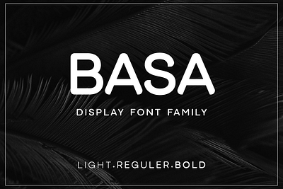 Basa Sans Family display font family font fonts letter modern sans serif typography