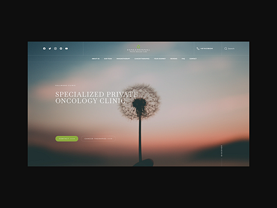Hallwang Clinic — Clean Medical UI app design clean design dashboard design illustration interaction design lifestyle typography ui user experience