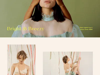 Capsule Collection animation logo ui