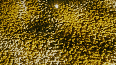 Stone 3d animation c4d cinema4d glass motion graphics octane particles redshift render simulation stone yallow