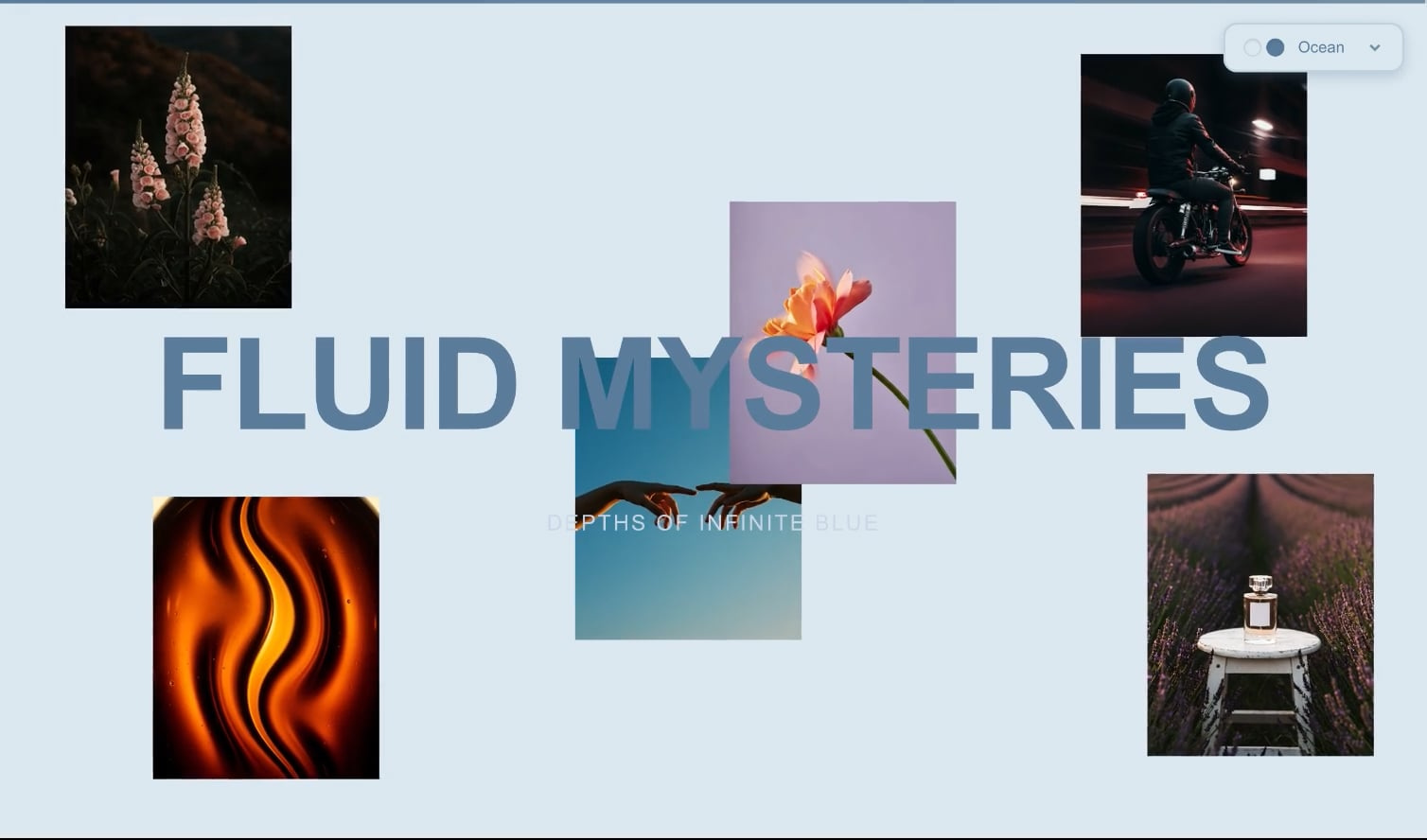 Scroll & Text Animation animation motion graphics ui