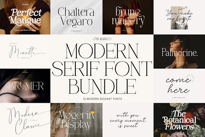 Modern Serif font Bundle boho font branding branding font bundle font bundle serif calligraphy design logo modern serif typography