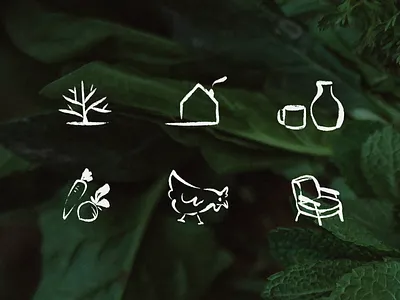 Icons - Byool Farm brand branding icons illustration