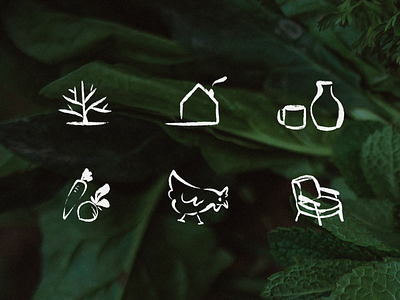 Icons - Byool Farm brand branding icons illustration