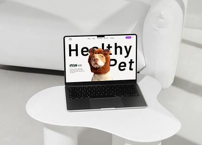 Healthy Pet figma ui ux webdesign