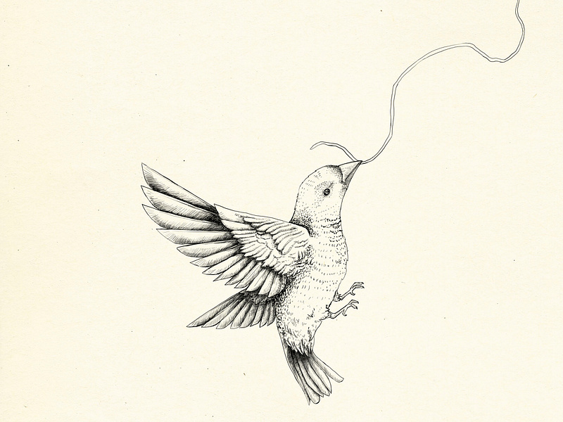 Strings Attached. Part 1. art for sale bird bird drawing bird illustration cream design details drawing freehand illustration illustration poster pencil pencil drawing poster tattoo