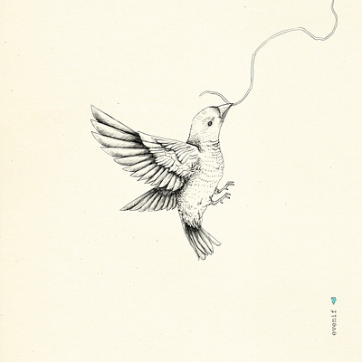 Strings Attached. Part 1. art for sale bird bird drawing bird illustration cream design details drawing freehand illustration illustration poster pencil pencil drawing poster tattoo