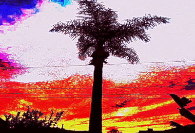 palm tree with sky background colorful digital art multicolored palm palm tree plant silhouette sky