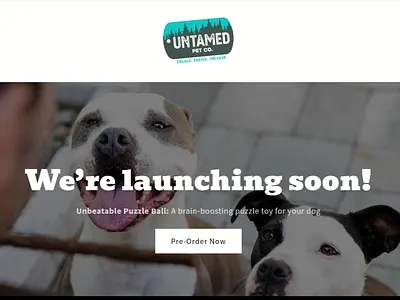 Pet Store Shopify Website branding clean shopify ui coffee brand website dark theme design design dropshipping e commerce e commerce ux design liquid code shopify minimalist web design premium ui design responsive shopify design shopify shopify developer shopify redesign shopify store shopify store upgrade shopify theme shopify theme customization trust badge design