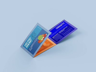 Food Types Infographic (Infographic Design Project) app branding design graphic design illustration logo typography ui ux vector