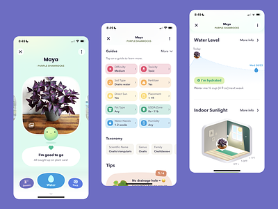 Greg / Home for your plants design illustration ios mobile sketches ui ux wireframe