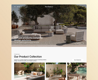 Prodarius Aims to Renovate Apartments figma ui ux webdesign