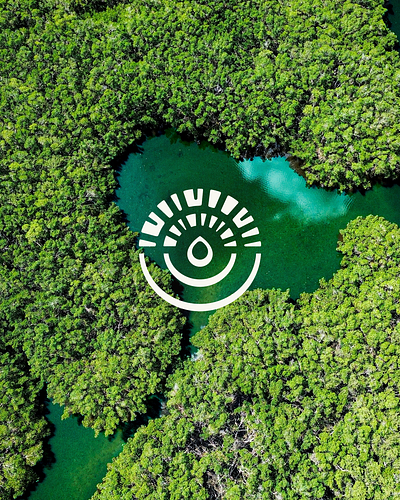 Tampa Bay Coastal Master Plan B-Side brand brand assets branding coast design florida graphic design icon illustration land logo logo design tampa bay vector water world